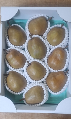 ゴールドラ・フランス　贈答用3㎏ (8～１１玉）