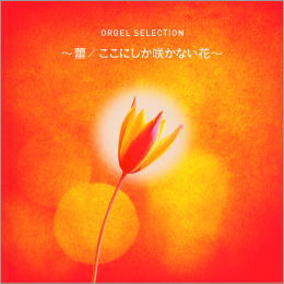 オルゴール・セレクション 蕾/ここにしか咲かない花