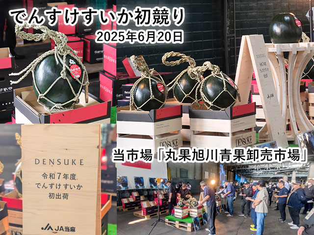 でんすけすいかの初競りを行う市場の直営店