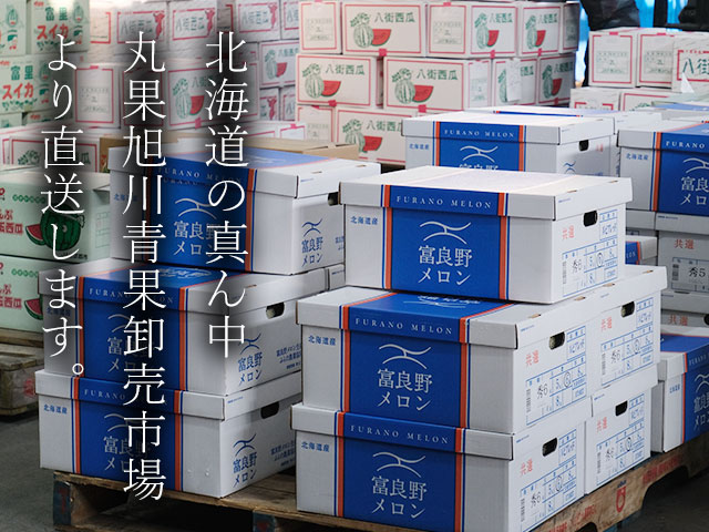 市場直送の鮮度だからギフトも安心