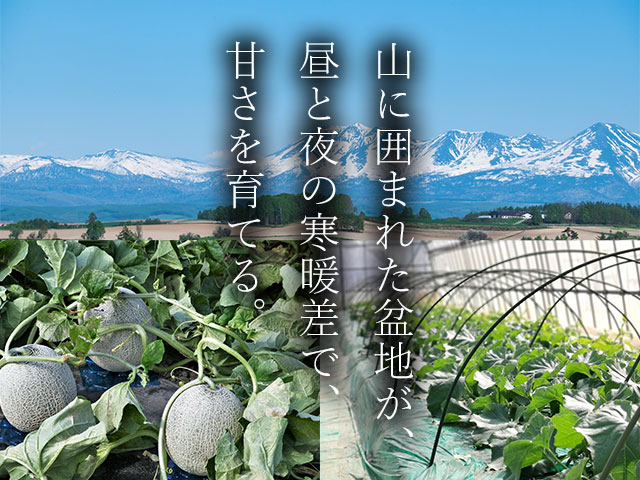 糖度15度以上。人気の秘密は富良野盆地の「寒暖差」