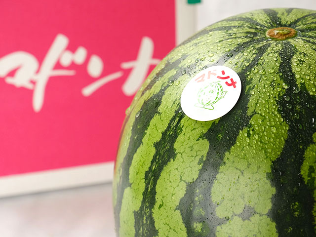 糖度12度超えのブランドすいか「マドンナ」の通販（お取り寄せ）