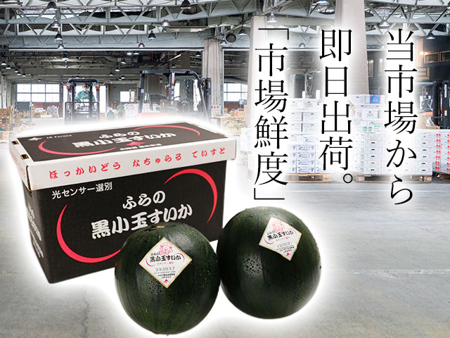 市場鮮度。入荷後に即日出荷します