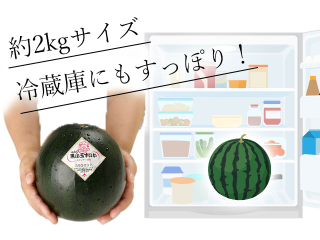 約2kgサイズ！冷蔵庫にもすっぽり入る手軽さ
