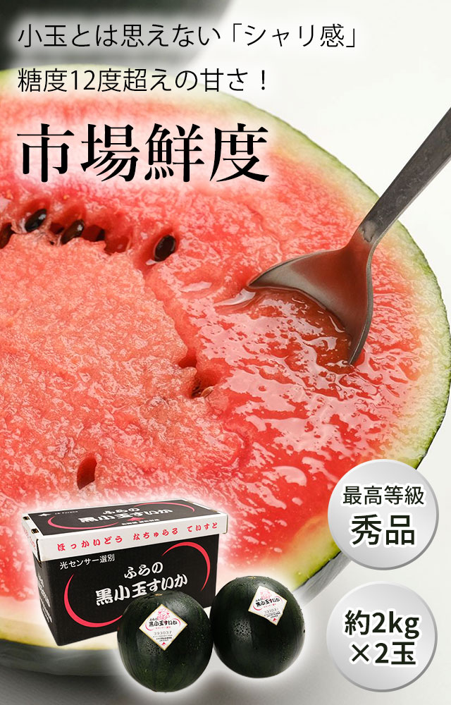 富良野麓郷黒小玉すいかの通販（お取り寄せ）