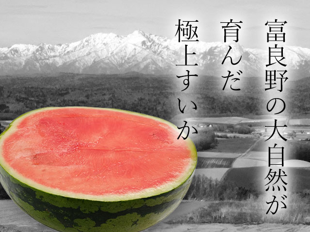 麓郷の大自然が育んだ極上すいか