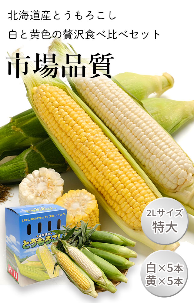 富良野メロンプレミアム（特秀品）の通販（お取り寄せ）