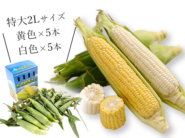 大切な人へのプレミアムギフト。自分へのご褒美に。