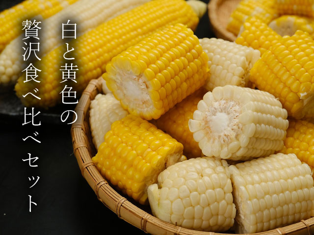 富良野メロンプレミアムをお取り寄せしませんか