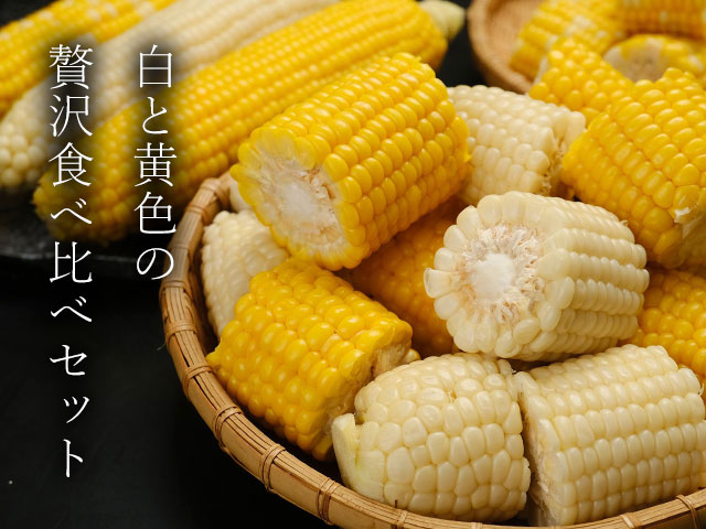 富良野メロンプレミアムをお取り寄せしませんか