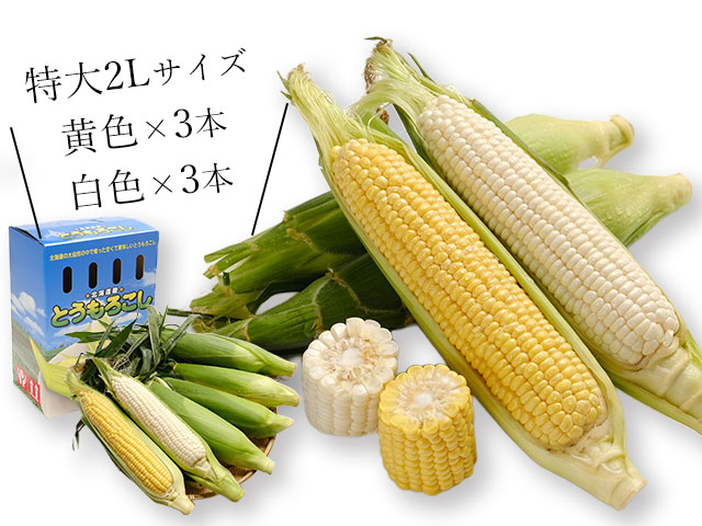 旬を贈る、ちょうどいい贅沢。嬉しい食べきり6本セット