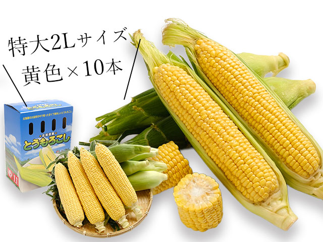 鮮度も価格も市場品質！