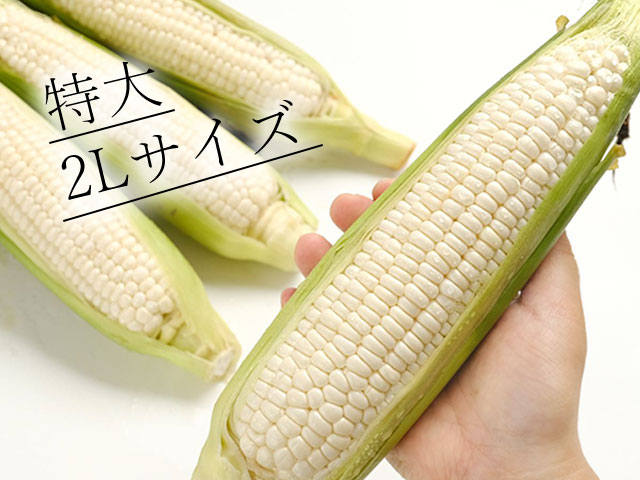 食べ応え抜群の特大２Lサイズ厳選