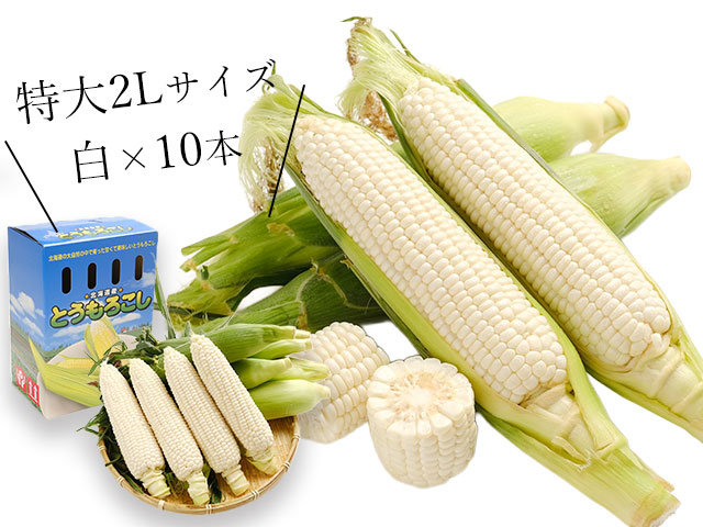 鮮度も価格も市場品質！