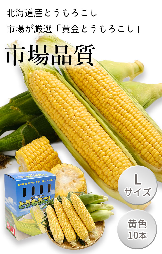 北海道産特大黄色とうもろこし10本（2Lサイズ） の通販（お取り寄せ）
