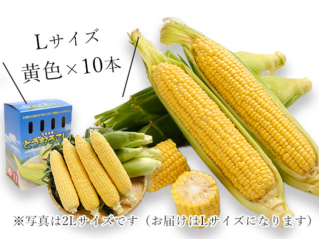 最高の鮮度と品質を、市場直送価格でお届けします