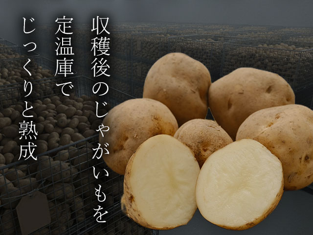 収穫後、じっくり熟成し、旨味を凝縮