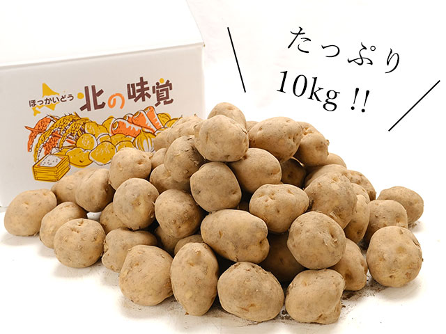 市場直送だからできる、この価格とこのボリューム