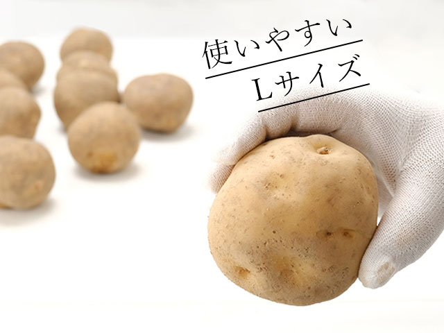 大切な人へのプレミアムギフト。自分へのご褒美に。