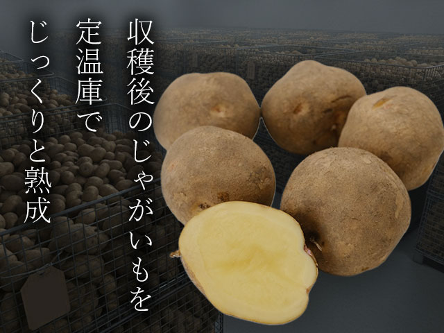 プロのひと手間。熟成が引き出す凝縮された甘み