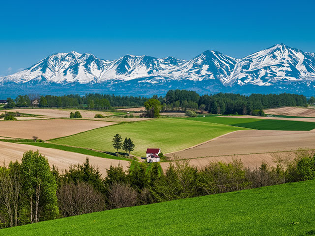 野菜がおいしい秘密は、北海道の寒暖差