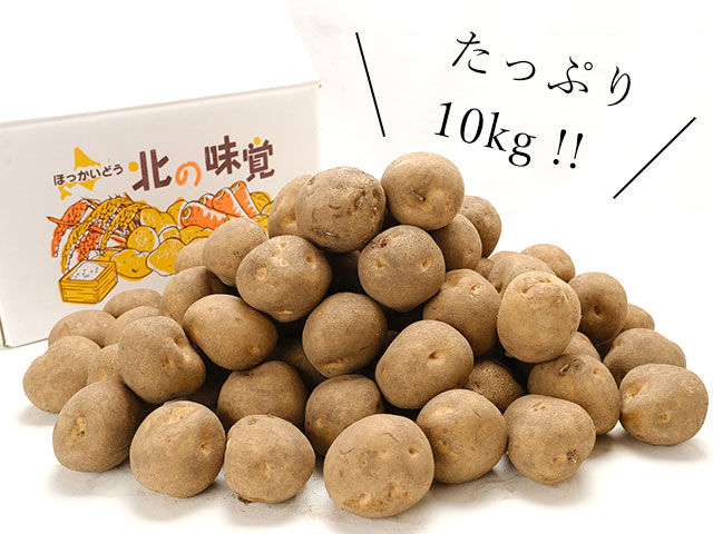 市場直送だからお得!大満足のたっぷり10kg