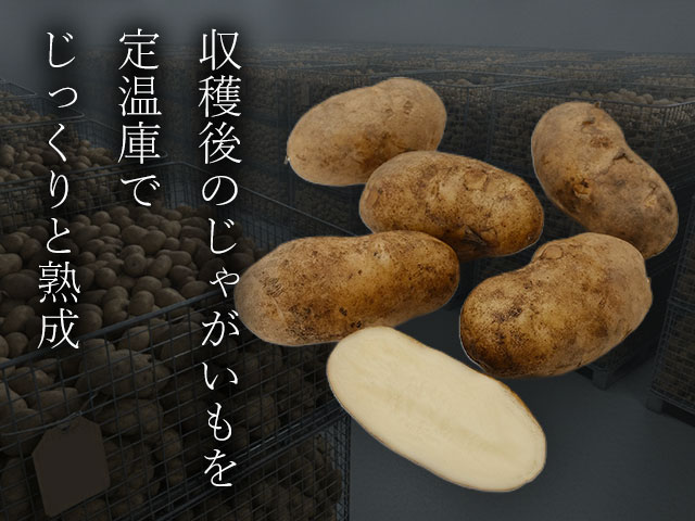 甘みを深める、ひと手間。熟成メークイン