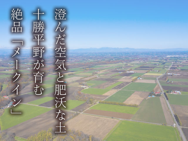 帯広・芽室。十勝平野が育む、理想の食感