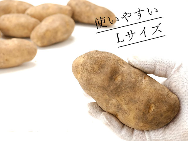 大きさが揃って使いやすい、便利なLサイズ玉