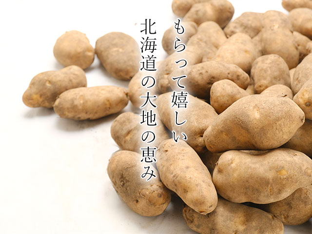 >大切なあの人への贈り物にも