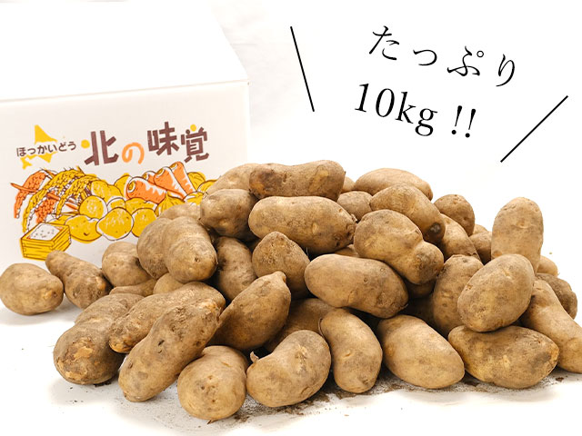 市場直送だからお得!大満足のたっぷり10kg
