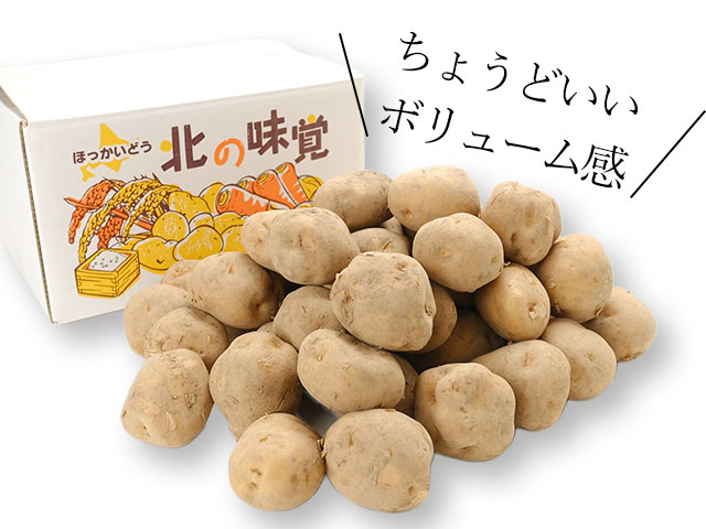 市場直送だからできる、この価格とこのボリューム