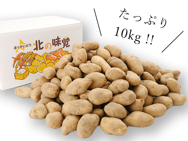 市場直送だからお得!大満足のたっぷり10kg