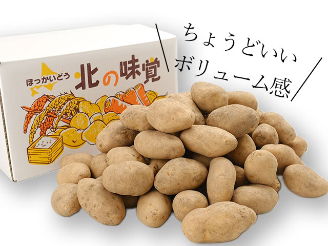 市場直送だからお得!大満足のたっぷり10kg