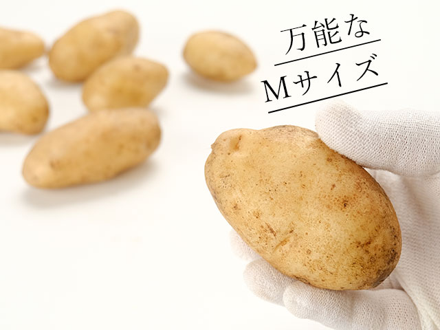 大きさが揃って使いやすい、便利なLサイズ玉