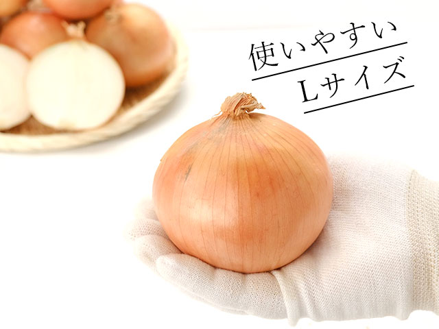 大きさが揃って使いやすい、便利なLサイズ