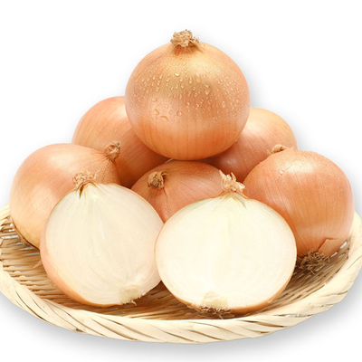 北海道産玉ねぎLサイズ約10kg箱