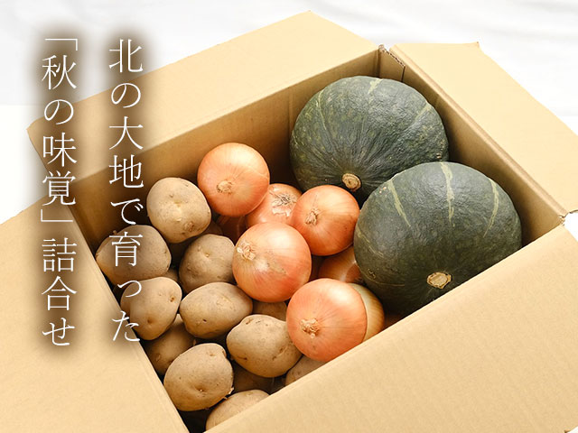 市場直送だからお得!秋の食卓応援セット