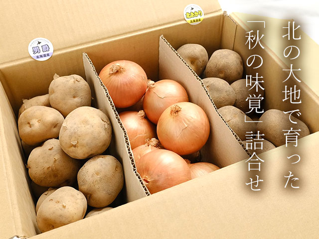 市場直送だからお得!秋の食卓応援セット