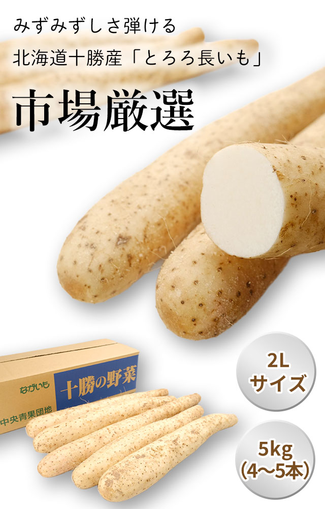 北海道産長いも5kg箱の通販(お取り寄せ)