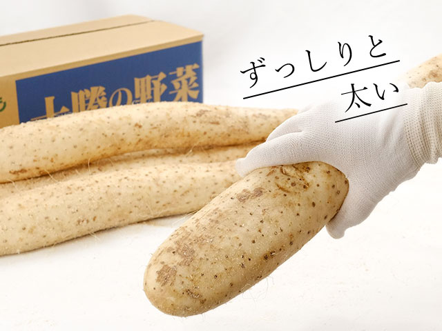 寒暖差が生んだ、きめ細かさと、しっかりとした甘み。