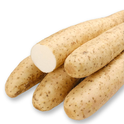 北海道産長いも5kg箱