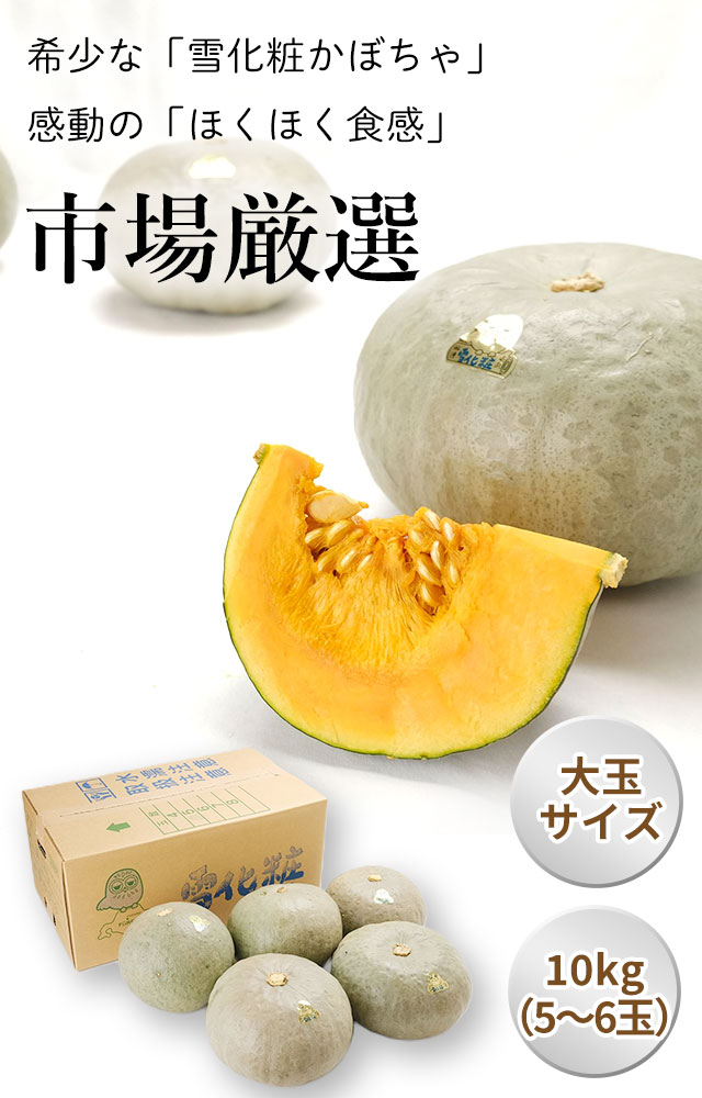 北海道産かぼちゃ(雪化粧)10kg箱の通販(お取り寄せ)