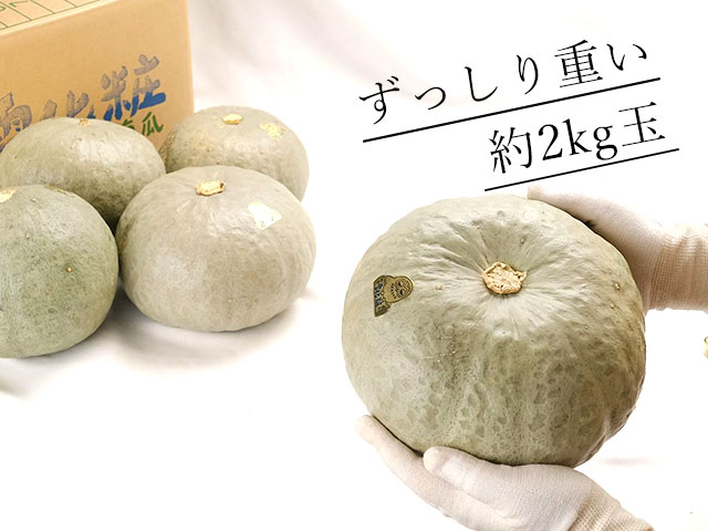 約2kgの大玉のかぼちゃが5~6玉入(約10kg)!