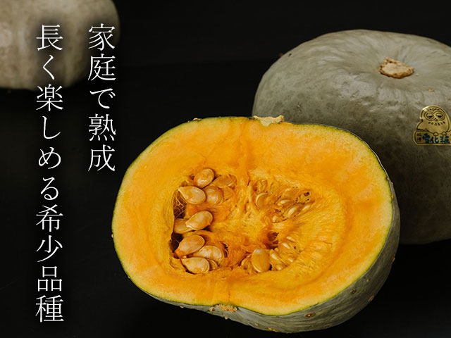 別名「流氷かぼちゃ」の秘密。
