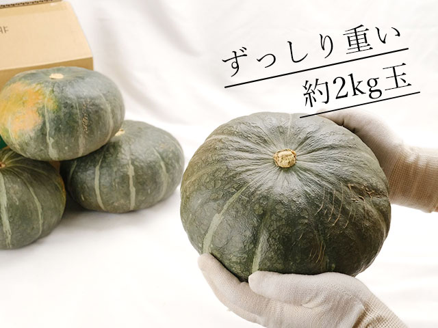 約2kgの大玉のかぼちゃが5~6玉入(約10kg)!