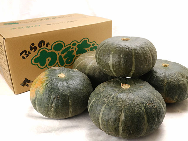 その日の良質なものを厳選してお届け