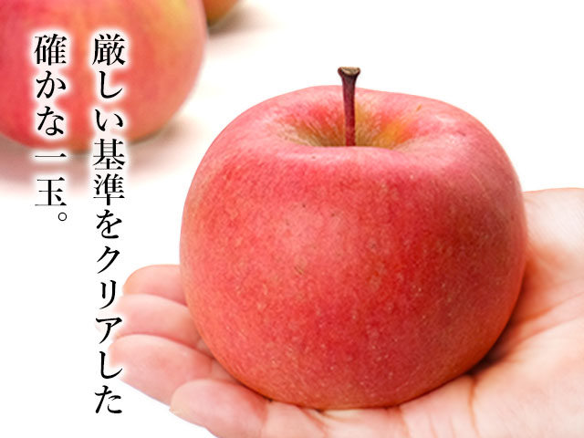 消滅の危機から復活した幻の品種