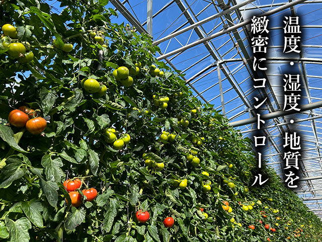 20の研究が導いた、極限の「旨味の密度」