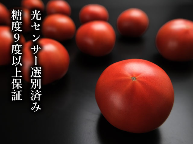 独自開発 of 光センサー。すべての1玉が「糖度9度以上」